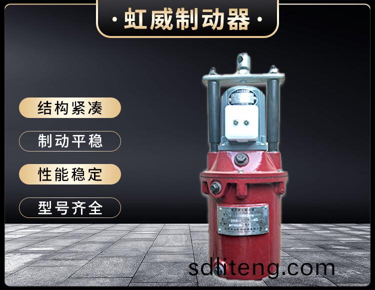 YT1係列(lie)電力液壓推動器