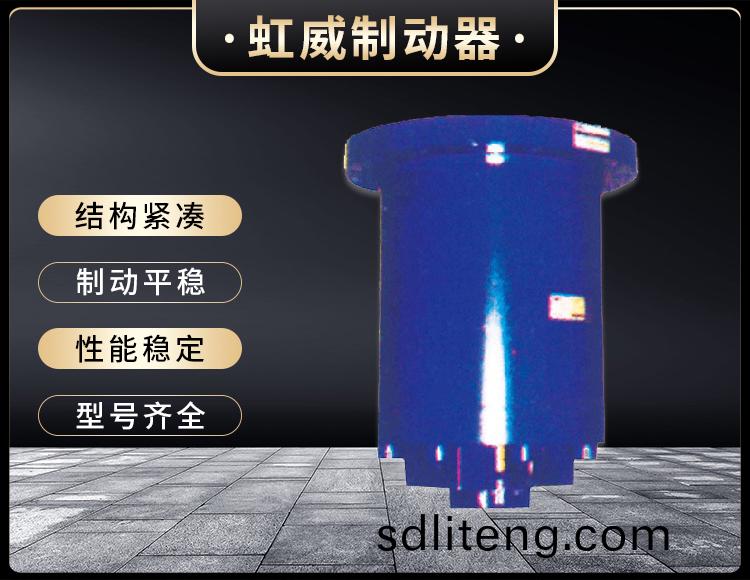 YDGZ(直動式)液壓頂(ding)軌製動器